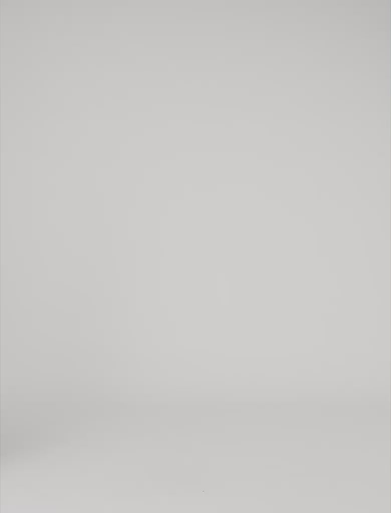 Long embroidered tulle skirt