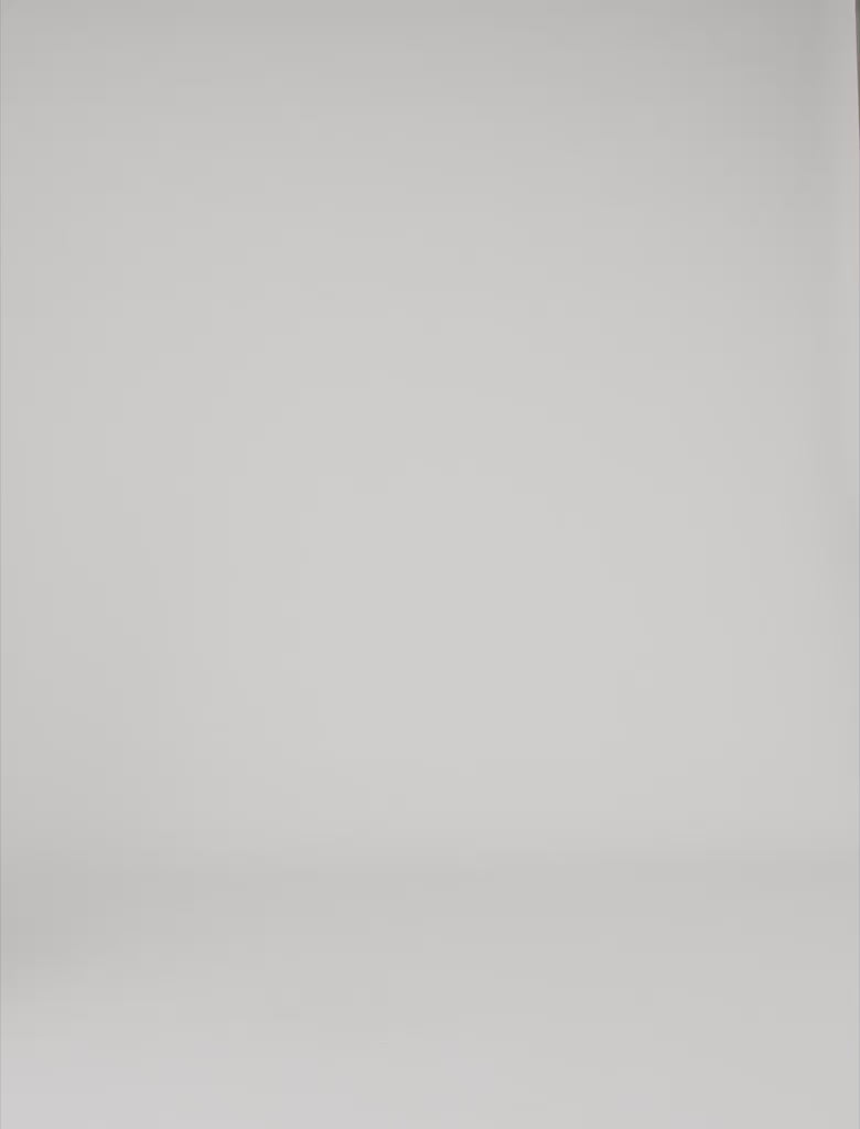 Long studded cotton skirt