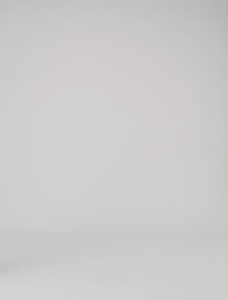 Short embroidered shirt