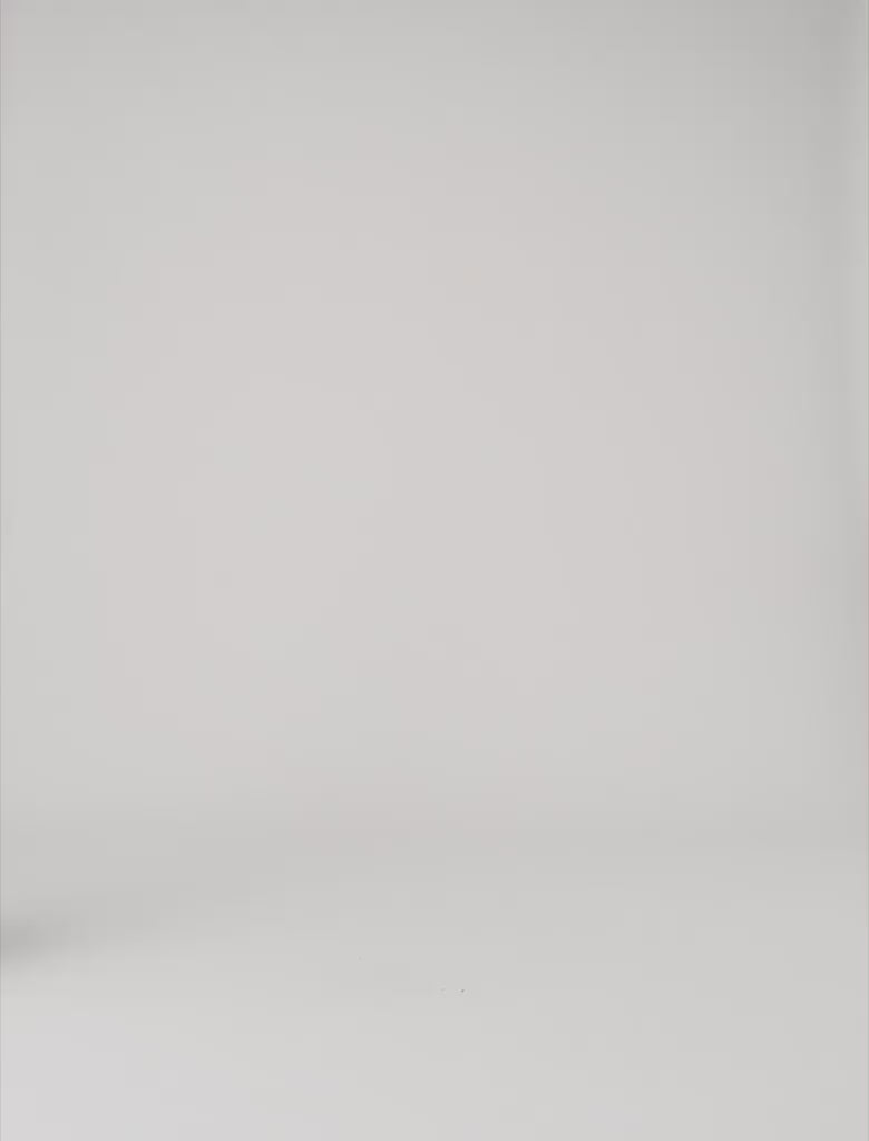 Embroidered midi skirt