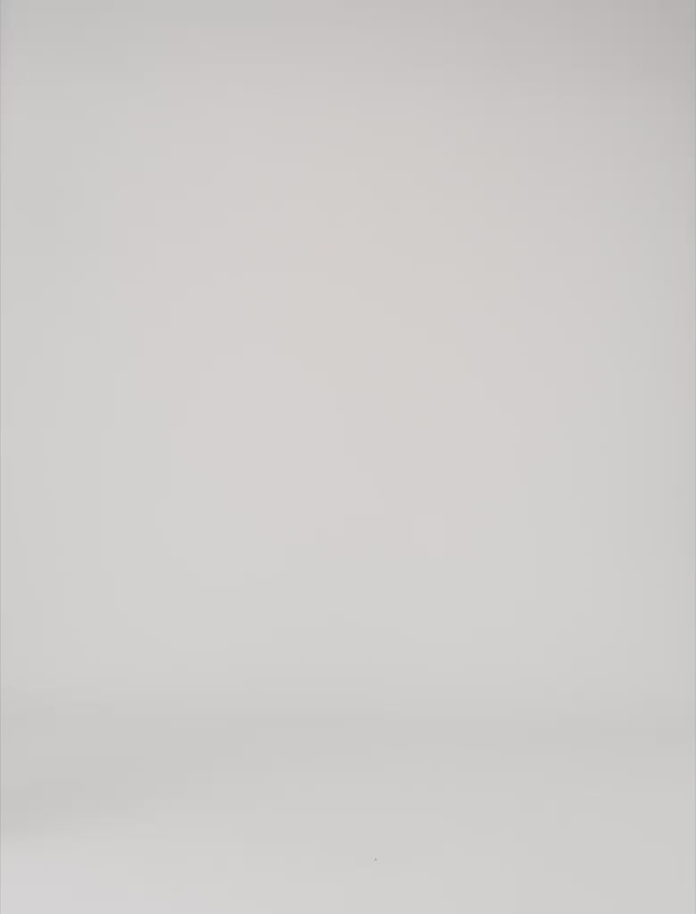 Denim Bermuda shorts